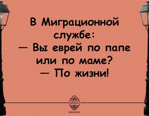 15253458_1241950062538024_5791407215095747341_n.jpg