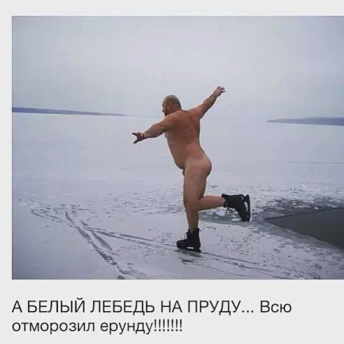 image-0-02-05-0e922db18a903cb0c3a63cc31ddbecf35d4eb874b9985e72f5f80bf786e3342b-V.jpg