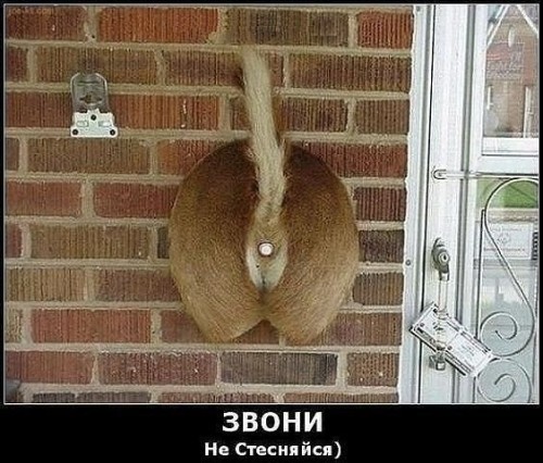 аор.jpg