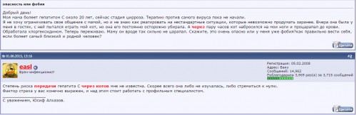 котэ.jpg
