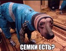 20161202_230936_226x174.png