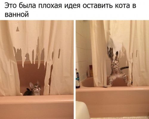 180.jpg