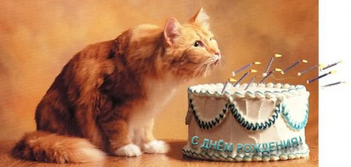 95394910_BirthdayKitty11.jpg