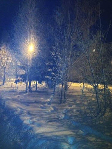 Ледяное безмолвие