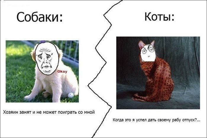 1341903433_comix_13.jpg