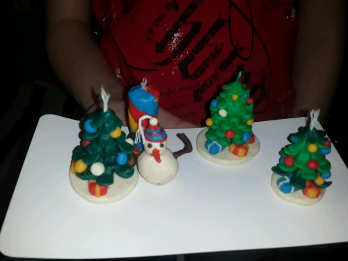 1483123349184image.JPG