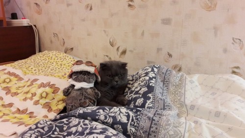 20160613_073320.jpg