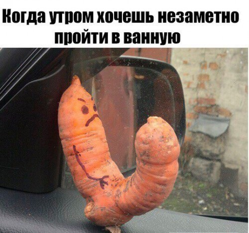 IMG_4489.JPG