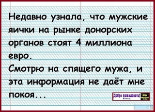 d99715e23392dc469ac55a5fbda03b83.jpg