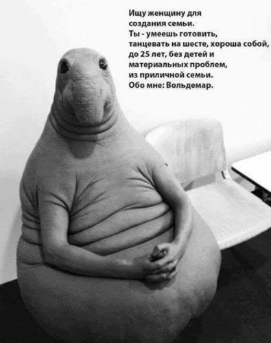 voldemar.jpg