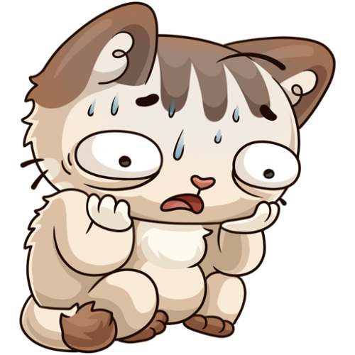 IMG_2323.PNG