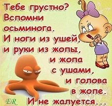 i.jpg
