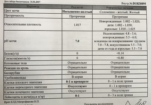 Повышенные лейкоциты при беременности в 3. Норма лейкоцитов в моче у беременных 2 триместр. Лейкоциты 0-1 в моче при беременности. Лейкоциты в моче у беременных 3 триместр. Лейкоциты в моче у беременной норма 2 триместр.