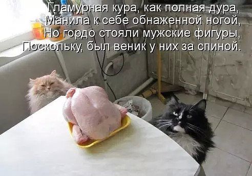 kozli.jpg
