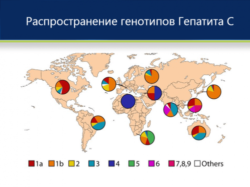 распространенность-генотипов-вируса-гепатита-С.png