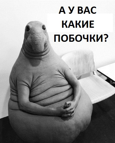 7c70e4a4d3c2.jpg