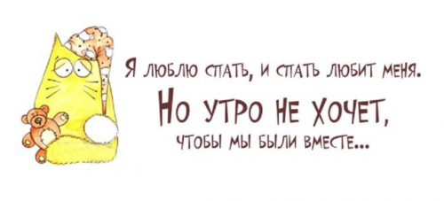 4906446.png