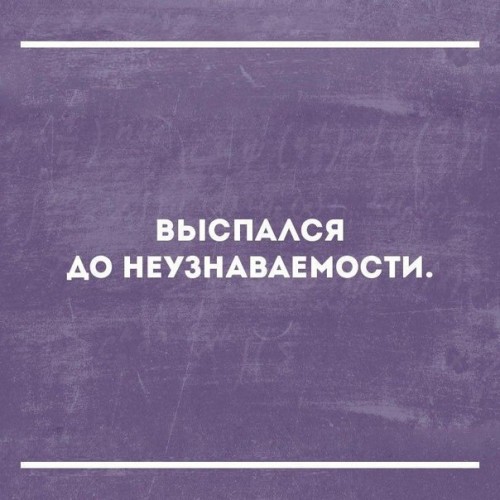 nqtvXJqaqlg.jpg