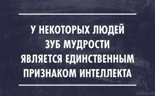интеллект.jpg