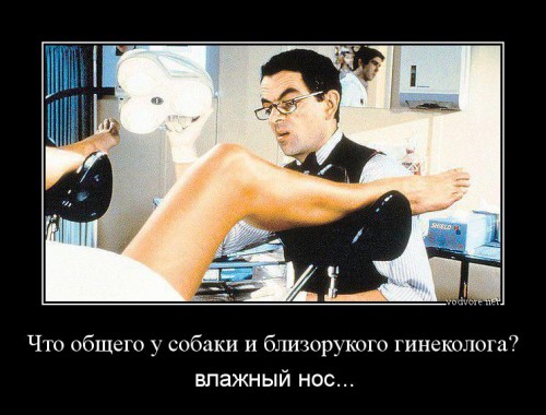нос.jpg