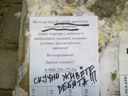 _Q_UBjF8T_8.jpg