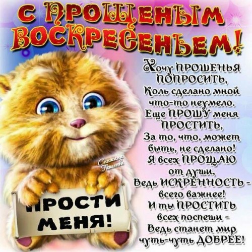 IMG-20170226-WA0002.jpg