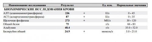 БИО3.jpg