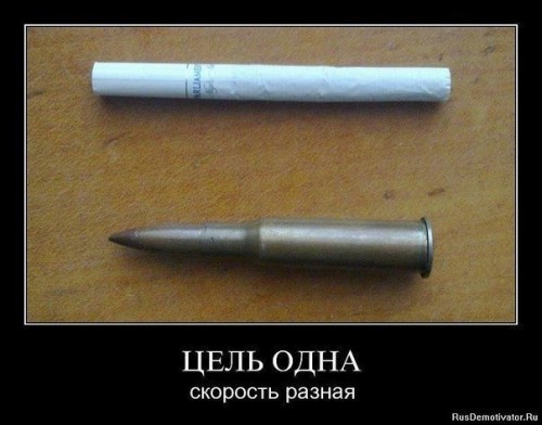 x_98368fba.jpg