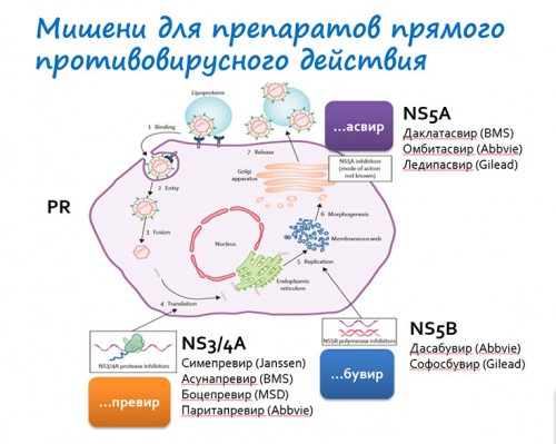page-1.jpg