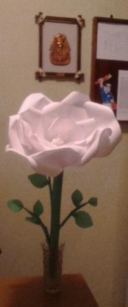 IMG_20170305_0154481.jpg