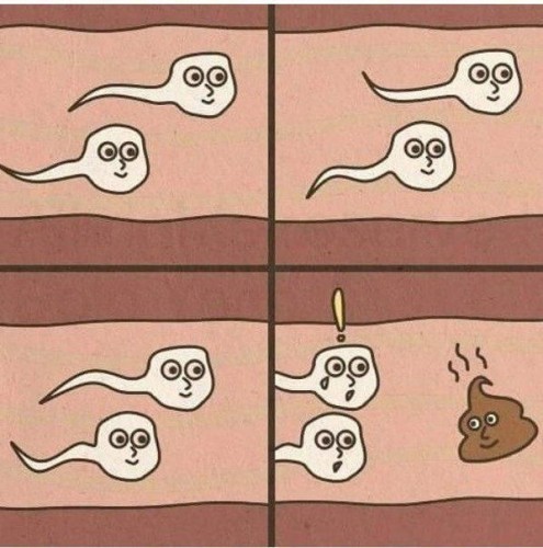 image.jpeg (104.73 КБ) 724 просмотра image.jpeg