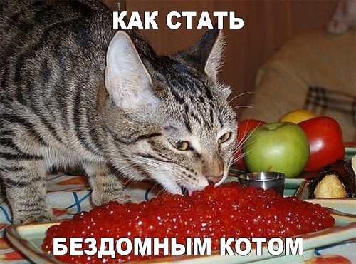 Q34Fj_EDtuw.jpg