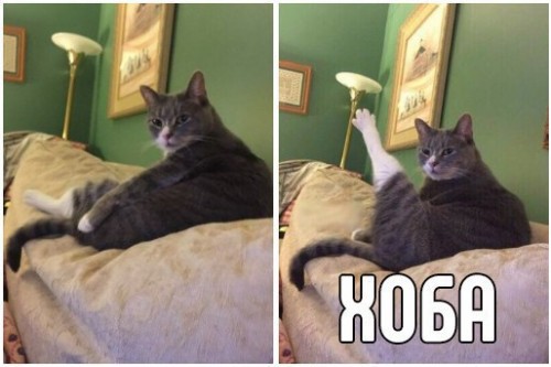 okvY_mbXtes.jpg
