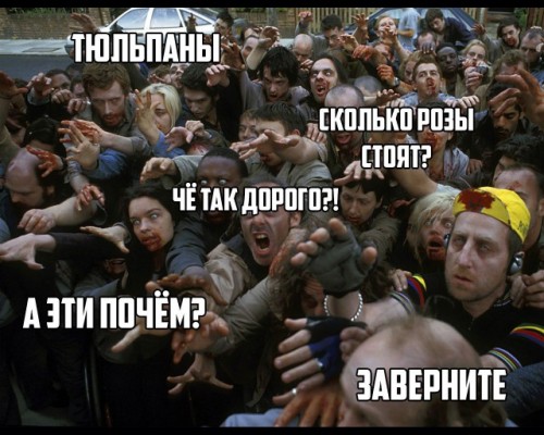 9357219.jpg