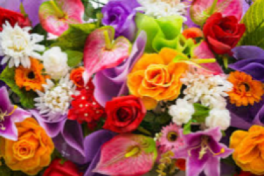 20170309_121237_380x253.png
