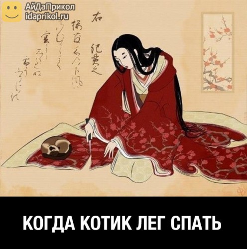 котик.jpg