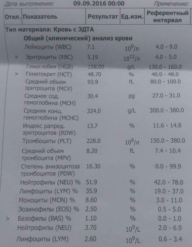 2016-2.jpg