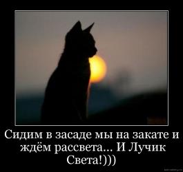 adc0d56a30.jpg