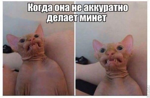 FB_IMG_1489845398619.jpg