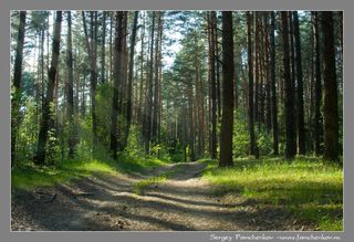 50702156_00213_nature.jpg