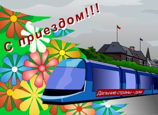 69674184.jpg