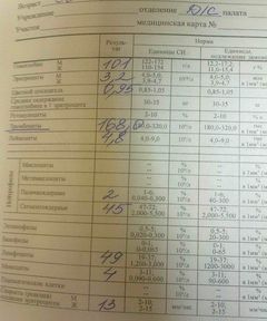 25072012117-1.jpg