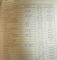 25072012119-1.jpg