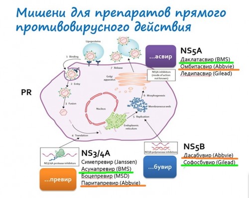 page-1 - копия.jpg
