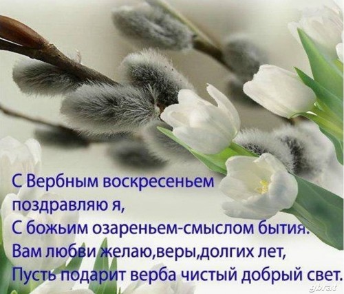 image (9).jpg
