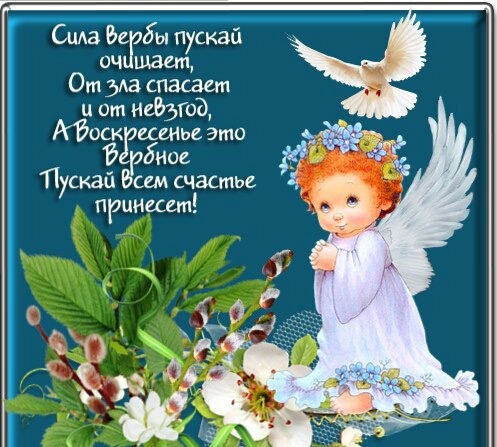 Нонпдоллд.jpg
