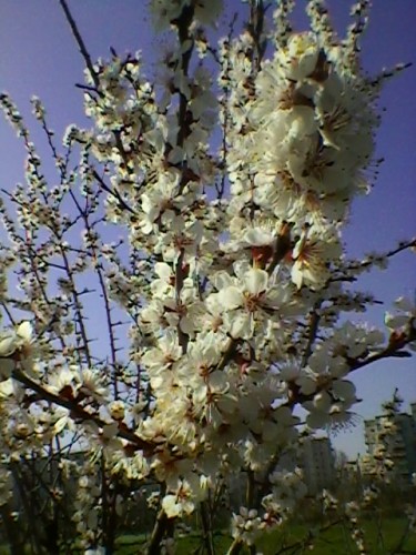 SP_A4879.jpg