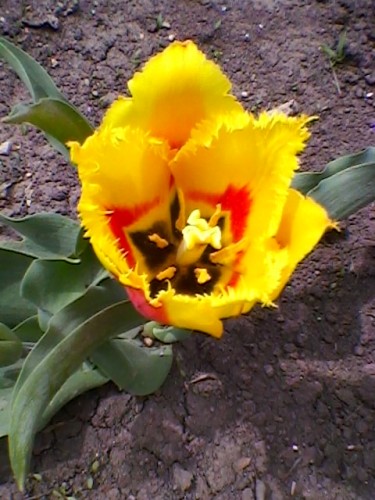 SP_A4884.jpg
