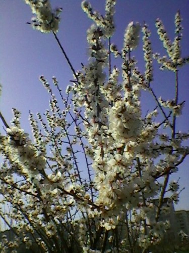 SP_A4881.jpg
