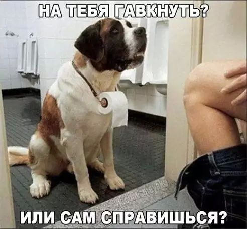 image (22).jpg